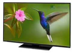 Avtex M219DRS PRO 12v LED TV Freeview HD DVD SAT HD REC Caravan Motorhome TV -Jacksons Leisure Supplies Avtex L219DRs PRO 04231.1660206963