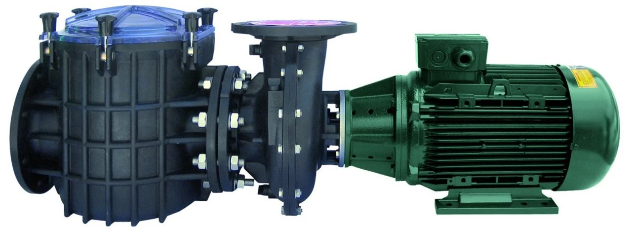 Certikin Giant Commercial Swimming Pool Pump 1 Certikin Giant Commercial Swimming Pool Pump