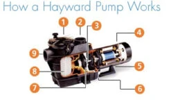 Hayward Swimming Pool Super Pump -Jacksons Leisure Supplies H superpump dia 86961.1370516490