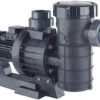Astral Maxim Three Phase Commercial Swimming Pool Pump