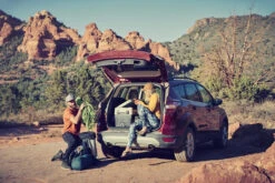 Dometic CFF 35 Portable Compressor Cool Box And Freezer 15 Dometic CFF 35 Portable Compressor Cool Box And Freezer -Jacksons Leisure Supplies dometic compressor fridge cooler freezer portable 66887.1583494553