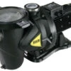 Certikin Euroswim Swimming Pool Pump (Powered By DAB)
