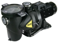Certikin Euroswim Swimming Pool Pump (Powered By DAB)