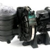 Sta-Rite 5P2R Swimming Pool Pump